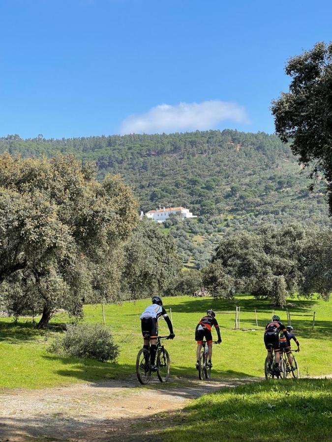 Monte Dos Pensamentos - Turismo Rural Estremoz Exteriér fotografie