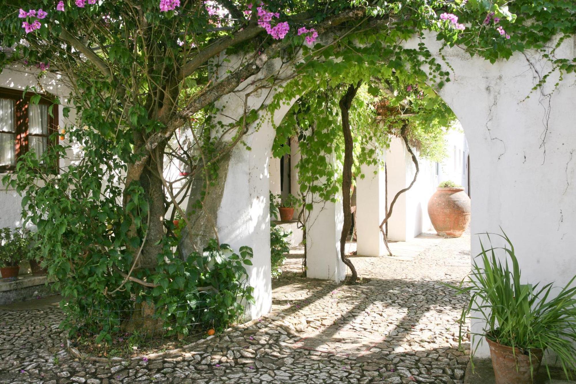 Monte Dos Pensamentos - Turismo Rural Estremoz Exteriér fotografie